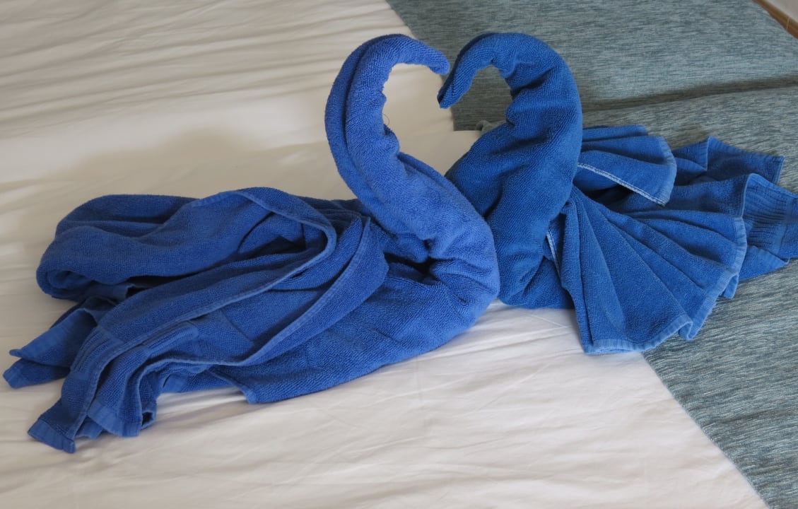 Zimmer Hotel Hyde Park Lane