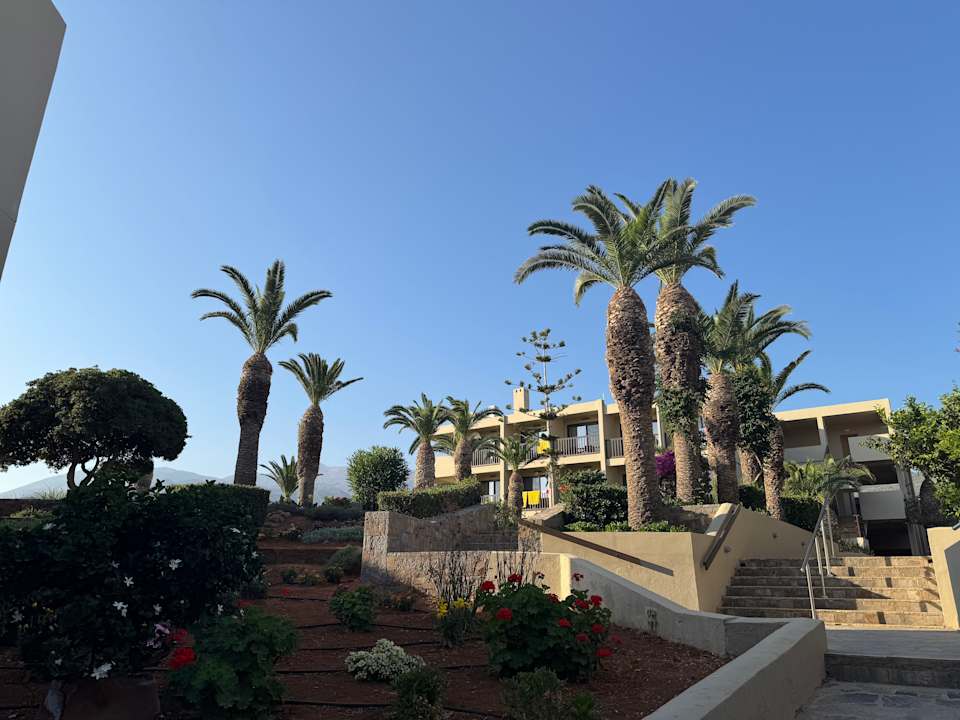 Gartenanlage allsun Hotel Malia Beach