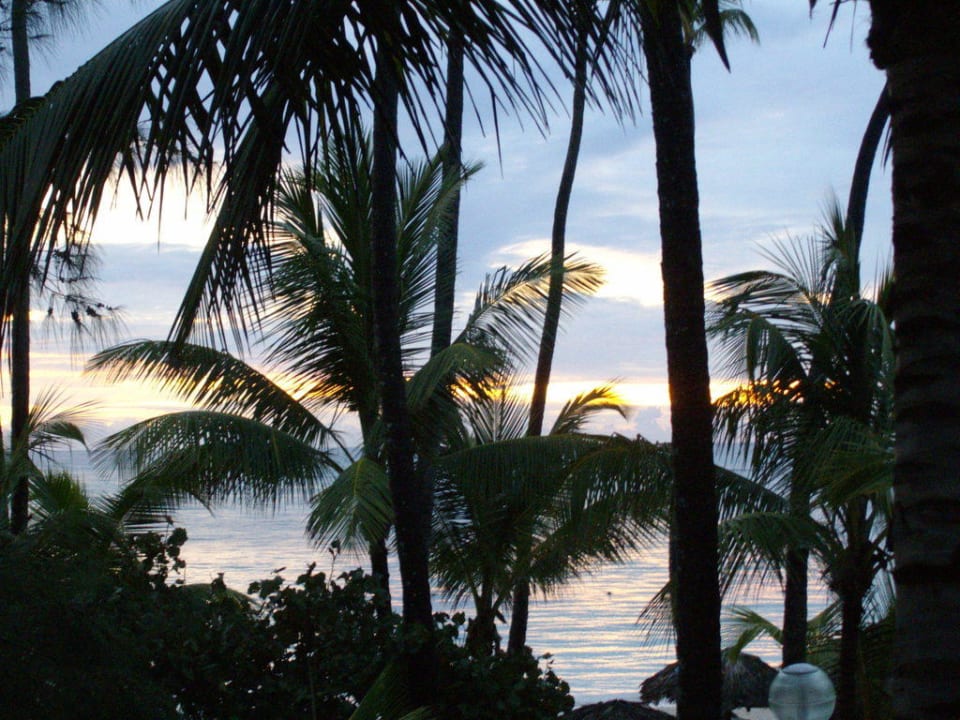 Blick vom Balkon Hotel Grand Palladium Palace Resort, Spa & Casino