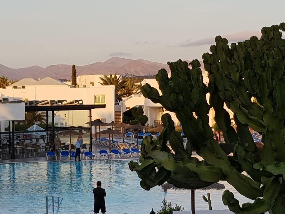 Ausblick Hotel Floresta