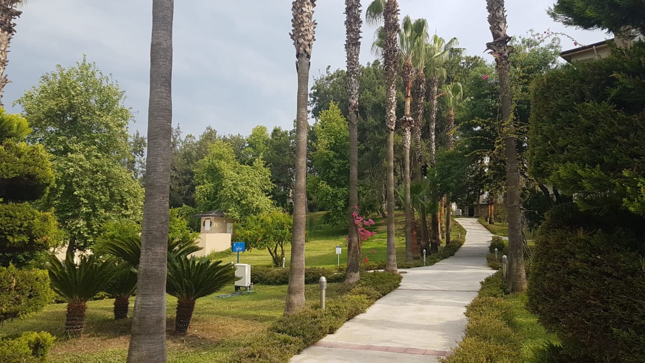 Gartenanlage Club Sidelya Hotel