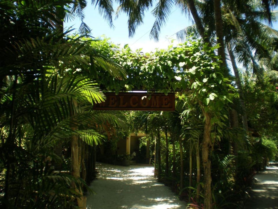 Inselinneres Summer Island Maldives