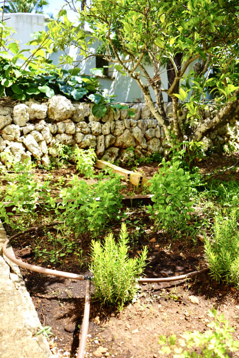 Gartenanlage Flipflop Cala Mandia