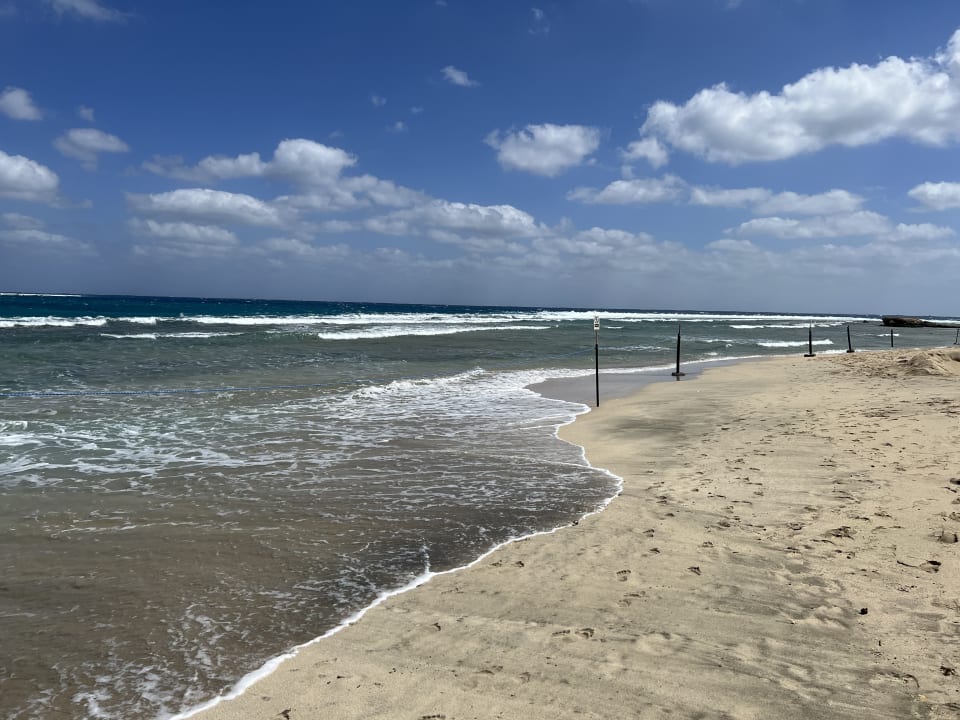 Strand Malikia Resort Abu Dabbab