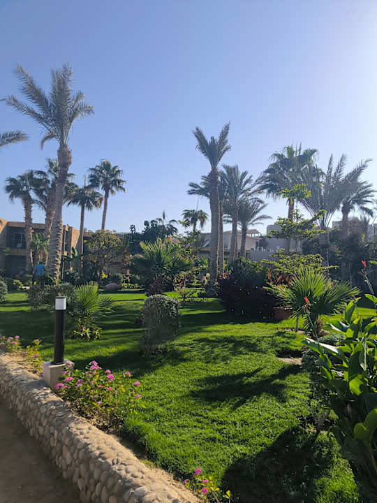 Sonstiges ananea Hurghada