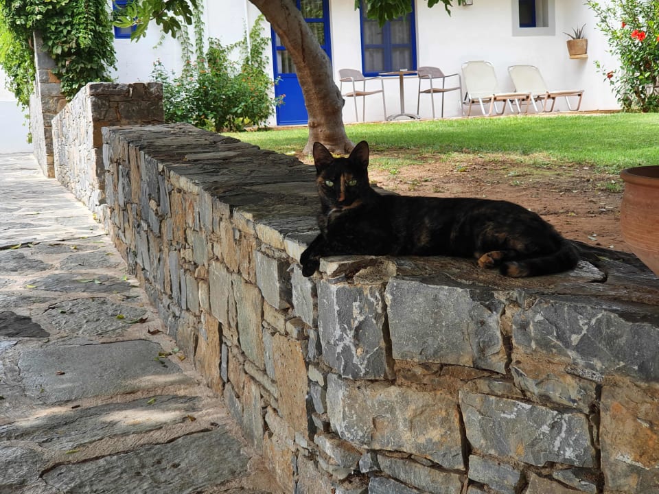 Gartenanlage Creta Maris Resort