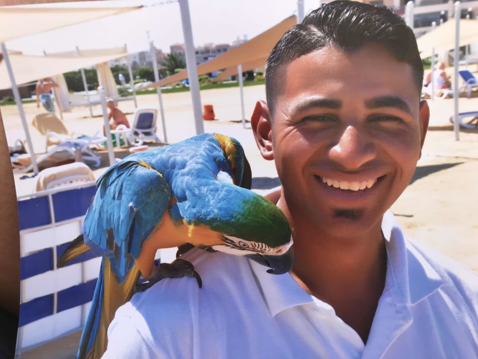 Sonstiges Gravity Hotel & Aqua Park Hurghada