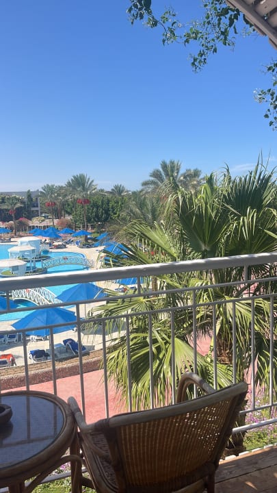 Ausblick Desert Rose