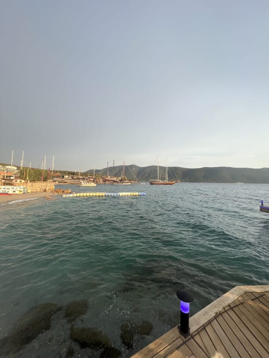 Ausblick TUI MAGIC LIFE Bodrum - Adult Only (16+)