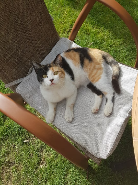 Sonstiges Voyage Belek Golf & Spa