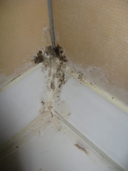 Bad Kleopatra Fatih Hotel