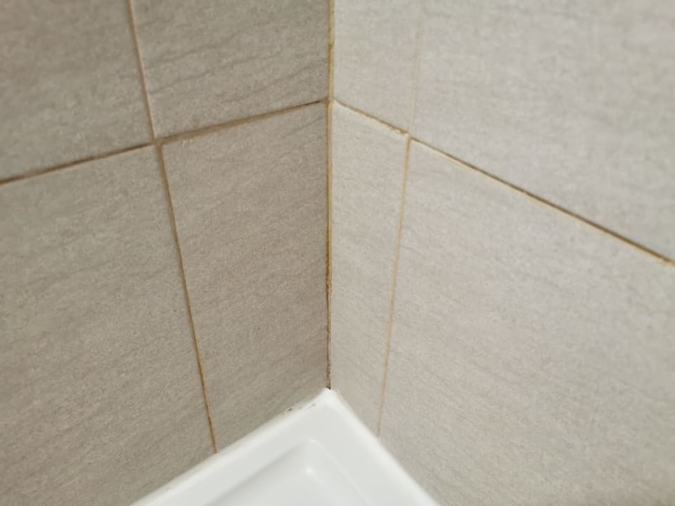 Zimmer Alcudia Garden Aparthotel