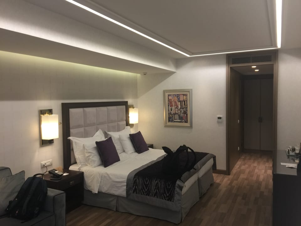 Zimmer Electra Metropolis Athens