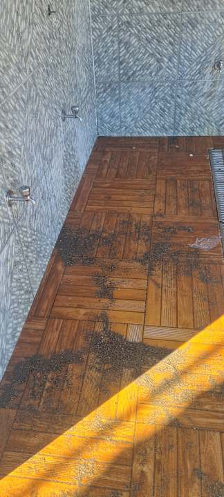 Strand Aleria Belport Beach Hotel