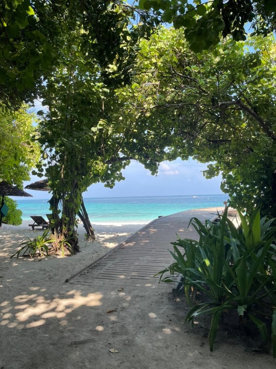 Ausblick NH Collection Maldives Reethi Resort