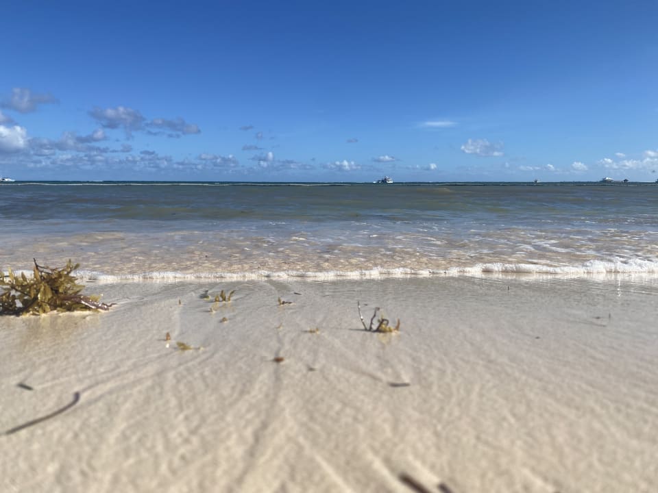 Strand Dreams Royal Beach Punta Cana