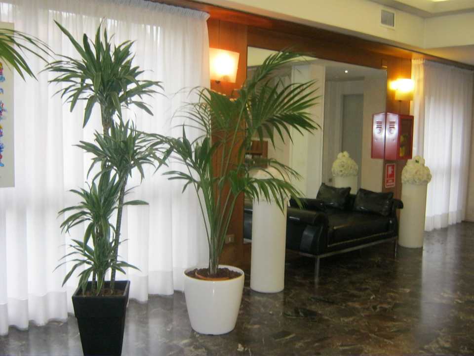 Lobby Hotel La Meridiana