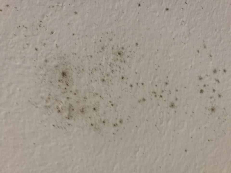 Zimmer Sonnenhotel Zaubek