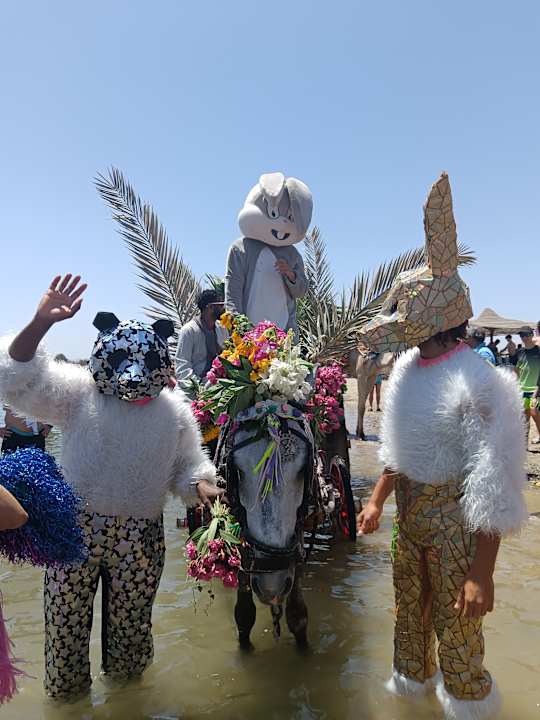 Sonstiges Three Corners Equinox Beach Resort