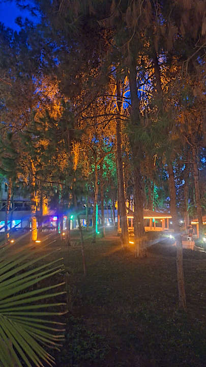 Gartenanlage Sueno Hotels Beach Side