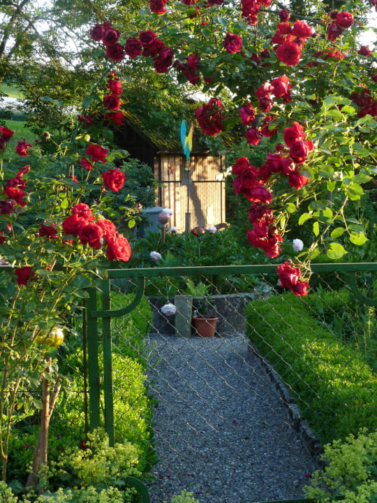 Gartenanlage Landhotel Martinsmühle