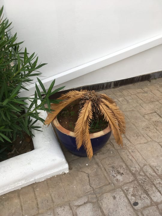 Gartenanlage Sandy Beach Resort