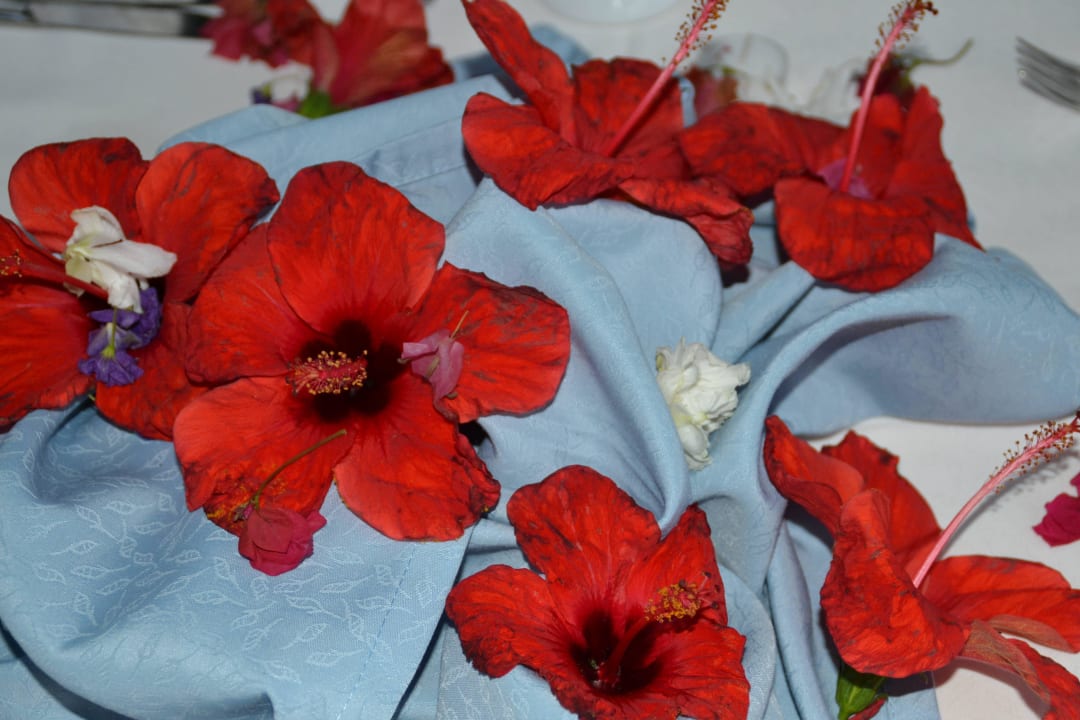 Hibiskusblüten als Tischdeko. Danke Osman. Hane Family Resort