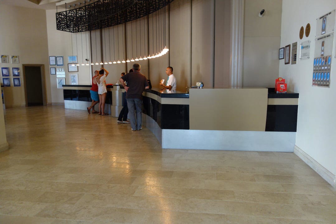 Rezeption PALOMA Perissia