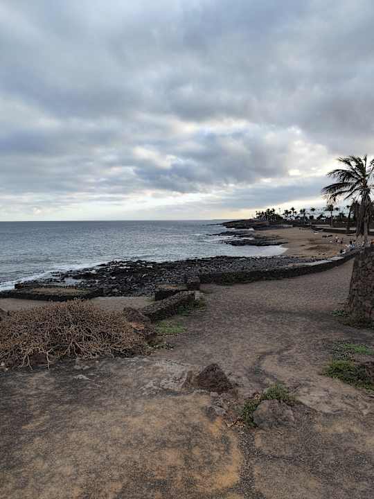 Außenansicht allsun App.-Hotel Albatros