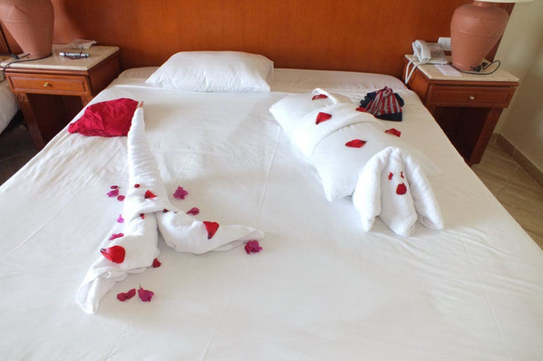 Zimmer Malikia Resort Abu Dabbab