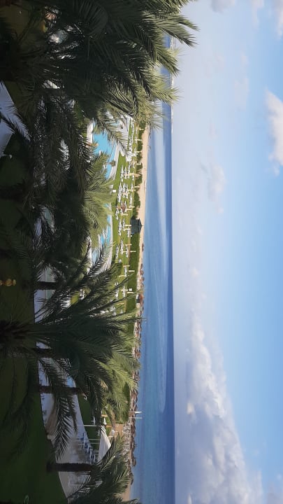 Ausblick Iberostar Waves Averroes