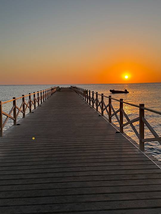 Strand JAZ Elite Amara