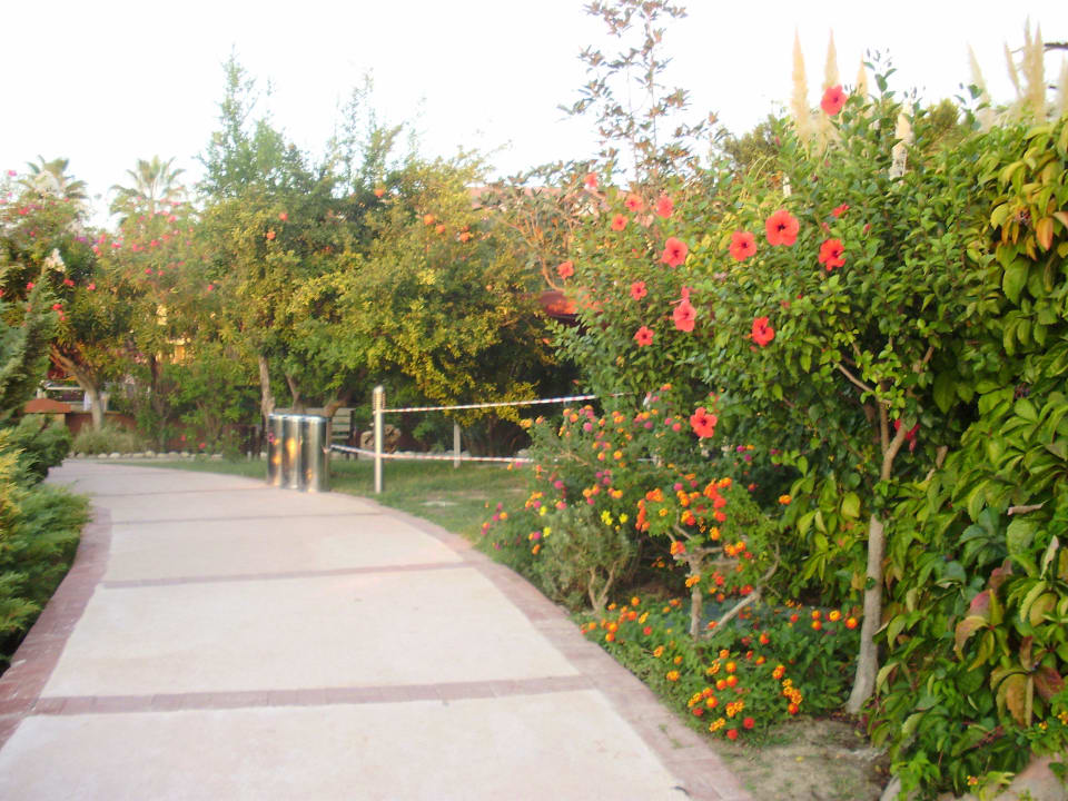 Cestička Alba Resort Hotel