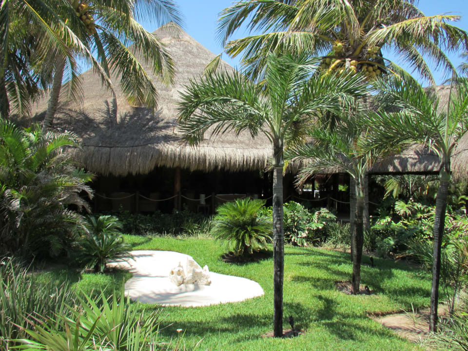 Gartenanlage Akumal Bay Beach & Wellness Resort