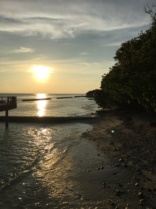 Ausblick NH Maldives Kuda Rah Resort