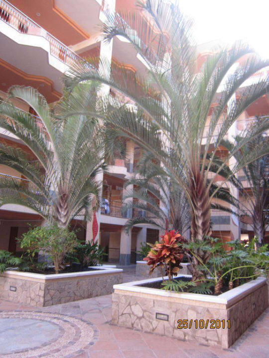 In dem rechten Zimmerblock Hotel Riu Buenavista
