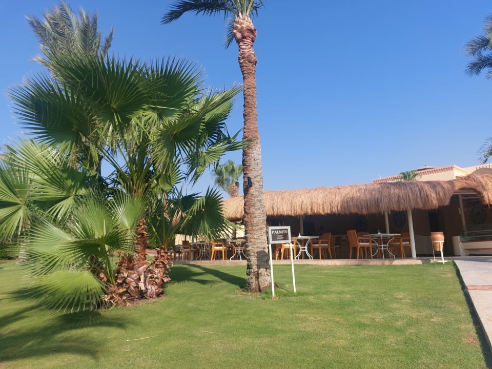 Gastro Steigenberger Coraya Beach - Adults only