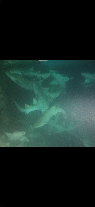 Strand Dreamland The Unique Sea & Lake Resort / Spa