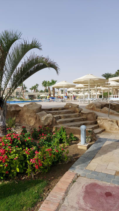 Pool Beach Albatros Resort