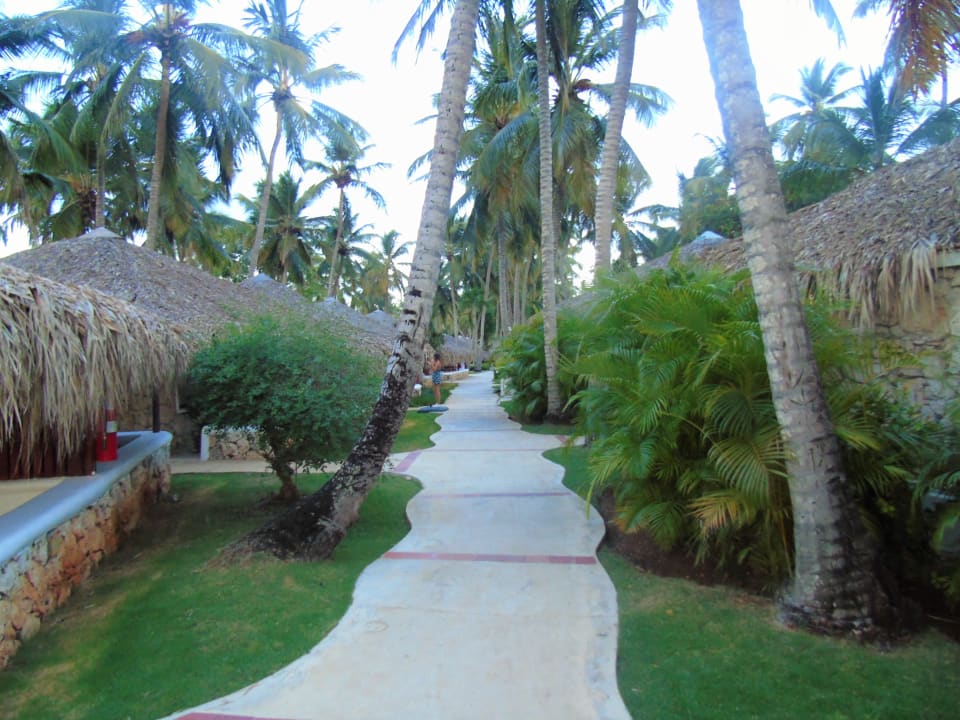 Außenansicht Hotel Viva Dominicus Beach by Wyndham - All Inclusive Resort