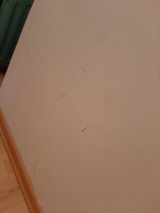 Zimmer Apartpension Altstadtperle