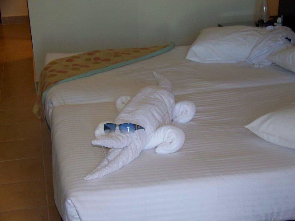 Eine Kunst für sich  Coral Sun Beach
