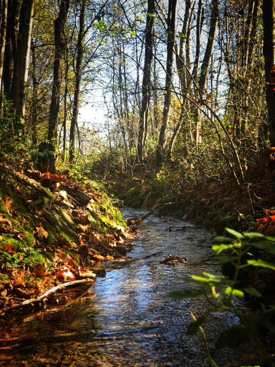 Ausblick Aldiana Club Ampflwang