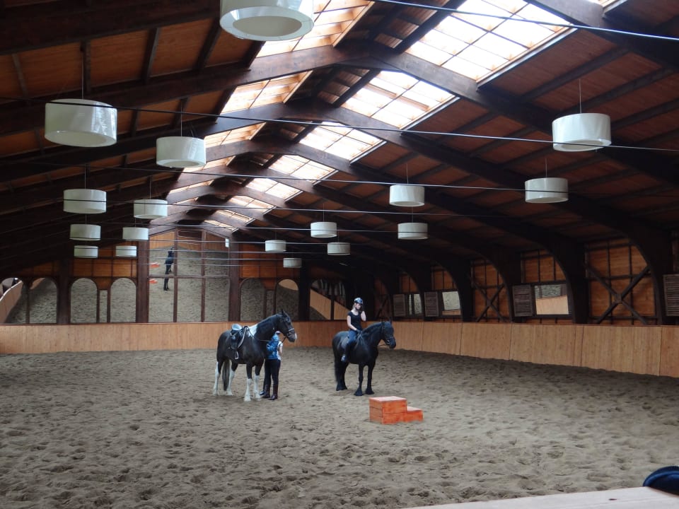 Equestrian Pension Domeniul Dracul Danes