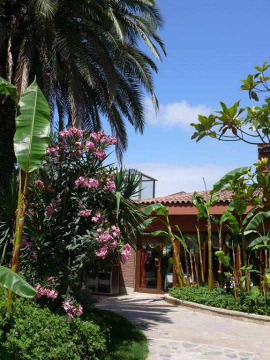 Gartenanlage Alba Resort Hotel