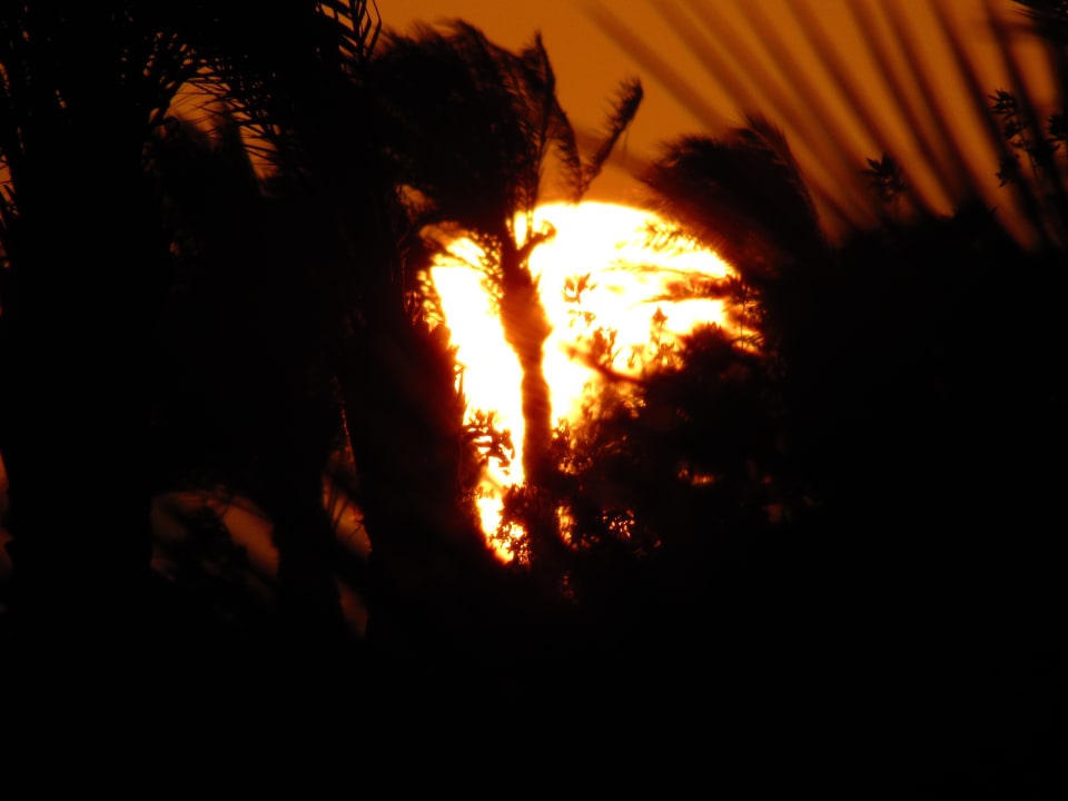 Ausblick Old Palace Resort Sahl Hasheesh