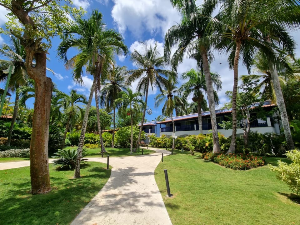 Gartenanlage Catalonia Royal La Romana - Adults only