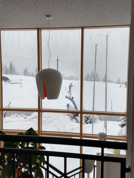 Ausblick Premium Wanderhotel Steirerhof