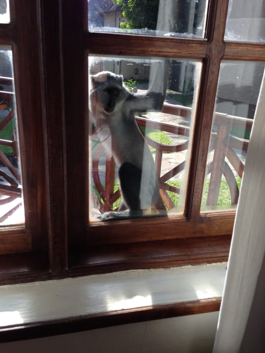 Ausblick Neptune Paradise Beach Resort & Spa