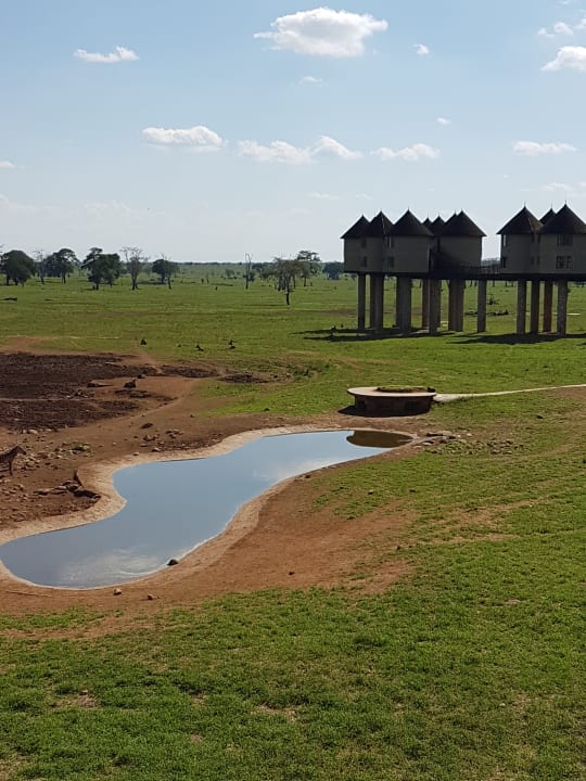 Außenansicht Salt Lick Safari Lodge